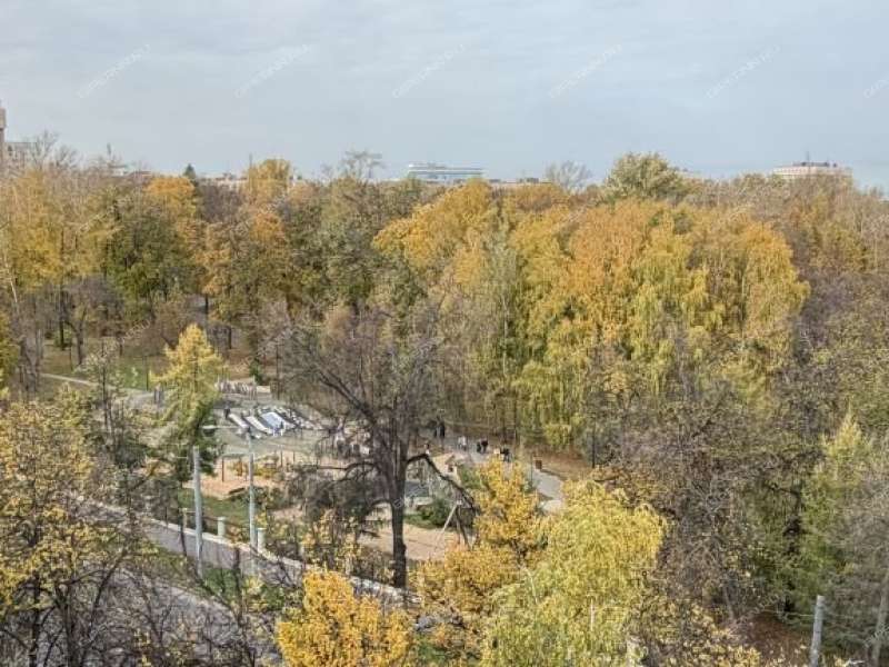 трёхкомнатная квартира на улице Белинского дом 49