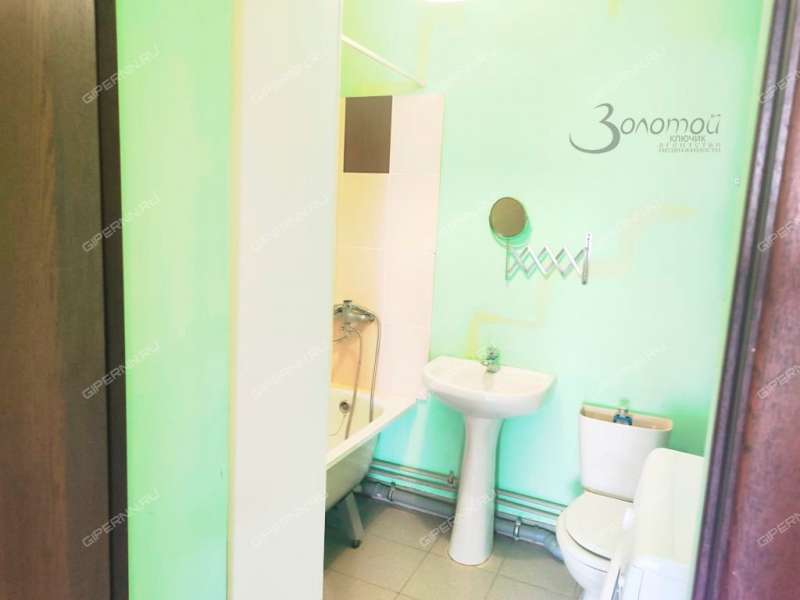 квартира-студия на Васильковой улице дом 161а