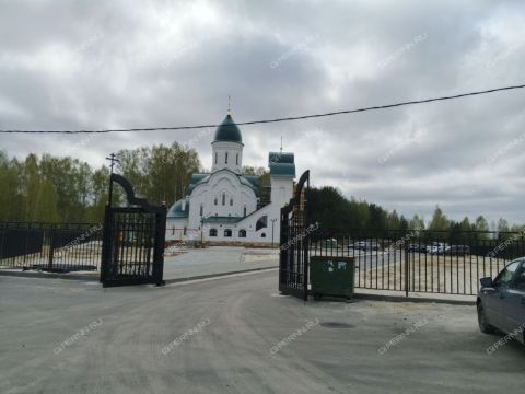 derevnya-ilinskoe-gorodskoy-okrug-bor фото