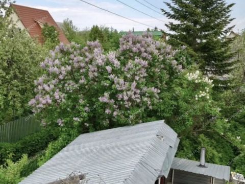 dacha-selo-bezvodnoe-kstovskiy-rayon фото