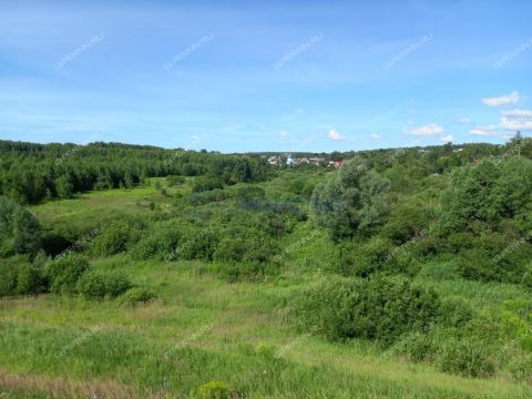 selo-doskino-bogorodskiy-municipalnyy-okrug фото