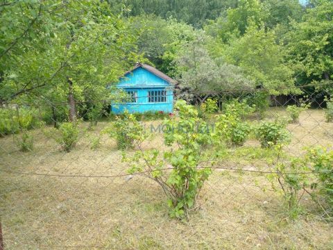 dacha-40-let-oktyabrya-ter-snt фото