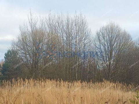 derevnya-hmelevaya-polyana-dalnekonstantinovskiy-rayon фото