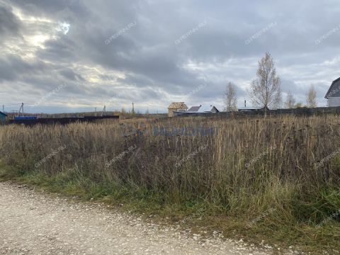 derevnya-shumilovo-bogorodskiy-municipalnyy-okrug фото