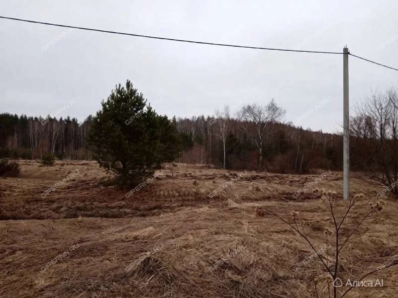 земельный участок под коттеджный посёлок в Богородском районе Нижегородской области