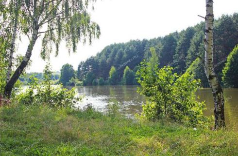 Малая поляна нижегородская область. Деревня Криуша Нижегородская. Криуша Нижегородская область Дальнеконстантиновский.