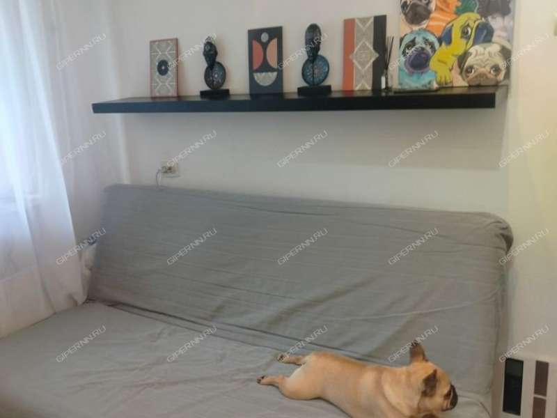 однокомнатная квартира на улице Красных Зорь дом 3