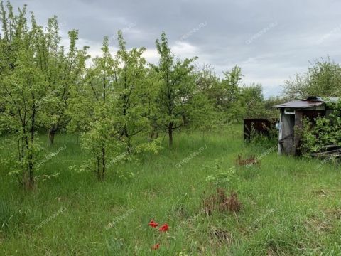 selo-bolshoe-davydovo-pavlovskiy-municipalnyy-okrug фото