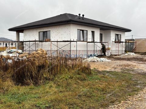 dom-derevnya-berezovka-bogorodskiy-municipalnyy-okrug фото