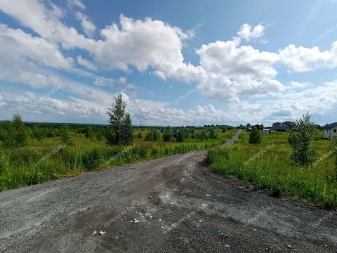 selo-efimevo-bogorodskiy-municipalnyy-okrug фото