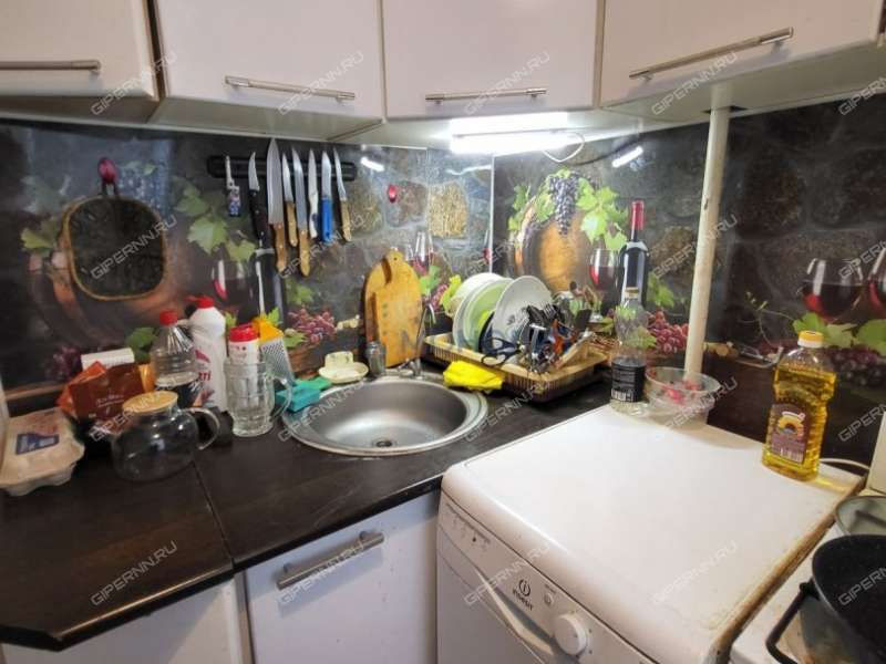 трёхкомнатная квартира на Снежной улице дом 23