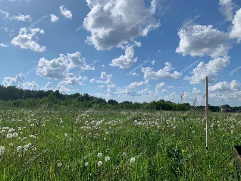 Гремячки нижегородская область. Деревня Гремячки Богородский район. Гремячки. Атмосфера новая ул., 24, село Гремячка фото.