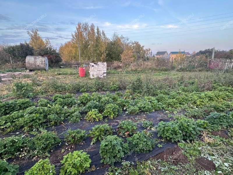 земельный участок 10,49 сотки село Безводное