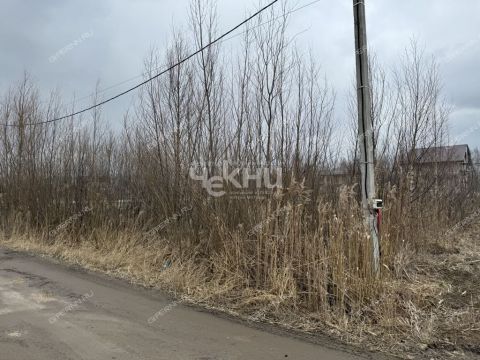 dnp-vozrozhdenie-gorodskoy-okrug-bor фото