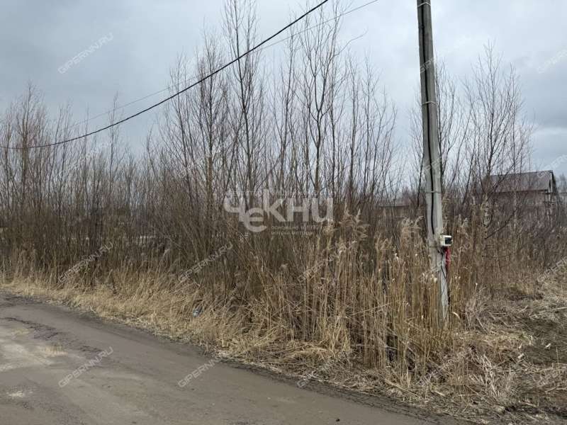 земельный участок 10 соток Андрианова ДНП Возрождение