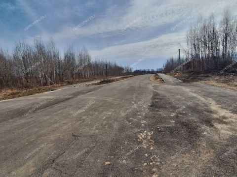 derevnya-ushakovo-bogorodskiy-municipalnyy-okrug фото