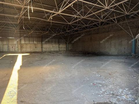 chachinoy-ul-d-36 фото