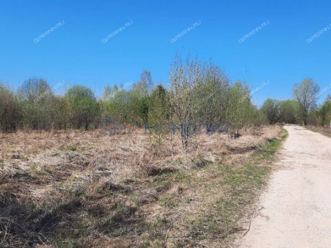 selo-velikovskoe-lyskovskiy-municipalnyy-okrug фото