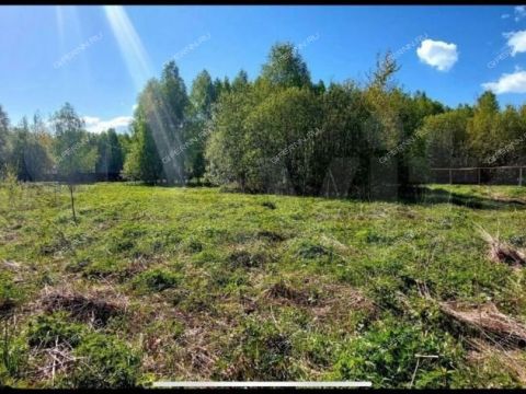 derevnya-berezovka-bogorodskiy-municipalnyy-okrug фото