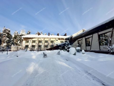 rabochiy-poselok-bolshoe-kozino-balahninskiy-municipalnyy-okrug фото