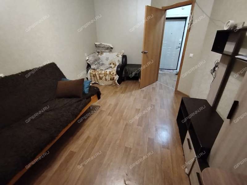 однокомнатная квартира на Парковой улице дом 10 город Кстово