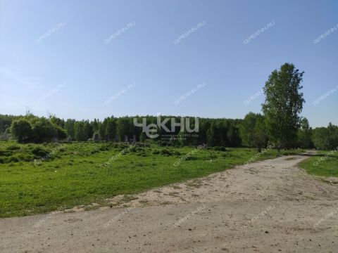 derevnya-mednikovo-gorodskoy-okrug-chkalovsk фото