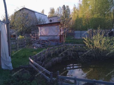 lesnoe-ter-snt-gorodskoy-okrug-dzerzhinsk фото