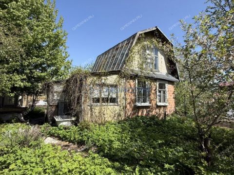 dacha фото