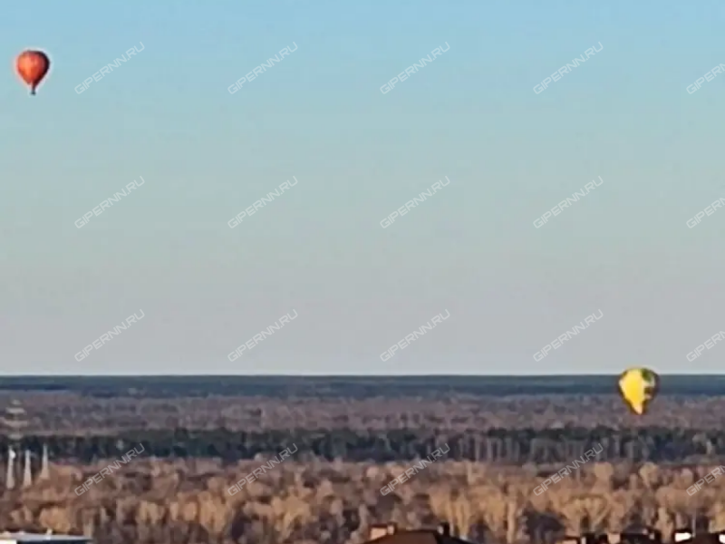 двухкомнатная квартира на улице Красная Поляна дом 5 деревня Афонино