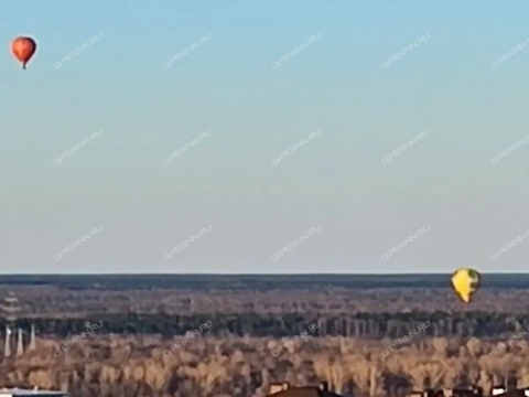 2-komnatnaya-derevnya-afonino-kstovskiy-rayon фото