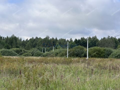 derevnya-prudy-bogorodskiy-municipalnyy-okrug фото