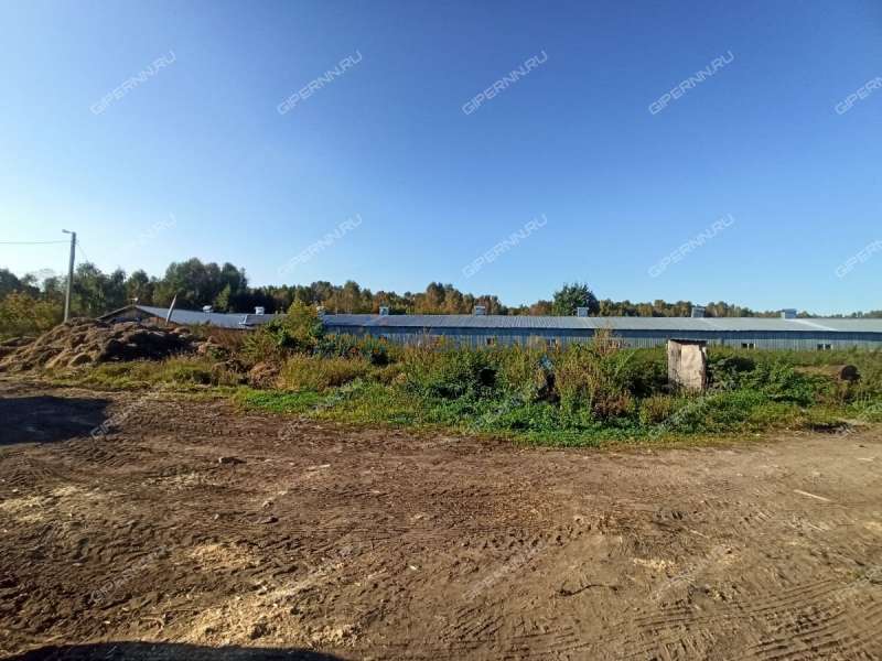 земельный участок под сельхоз назначение в городском округе Бор Нижегородской области