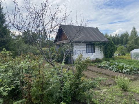 dacha-snt-berezka фото