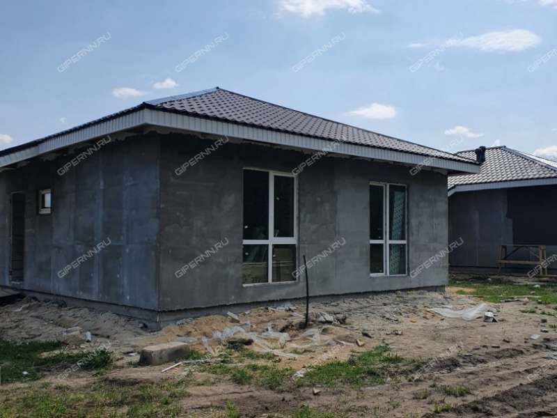 дом на Героя Демина ул. деревня Пруды