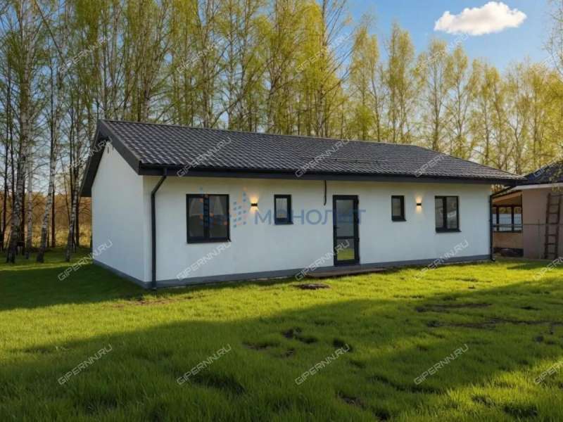 дом на улице Севастопольская деревня Шумилово