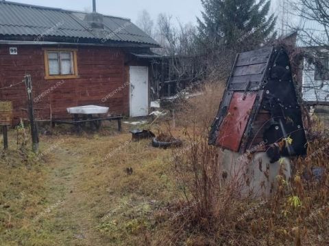 snt-metrostroitel-gorodskoy-okrug-bor фото