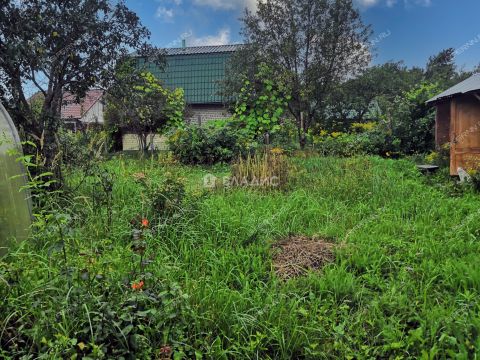 dacha-sadovodcheskoe-nekommercheskoe-tovarishhestvo-zvezdochka-gorodskoy-okrug-bor фото