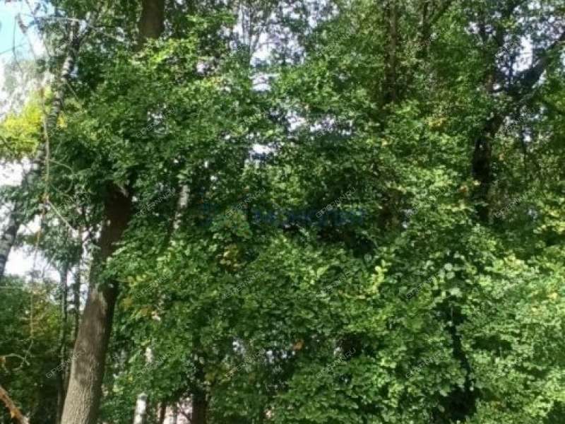 двухкомнатная квартира на улице Вождей Революции дом 21