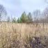 земельный участок 7 соток деревня Кривая Шелокша