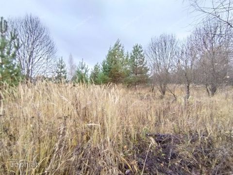 derevnya-krivaya-sheloksha-kstovskiy-rayon фото