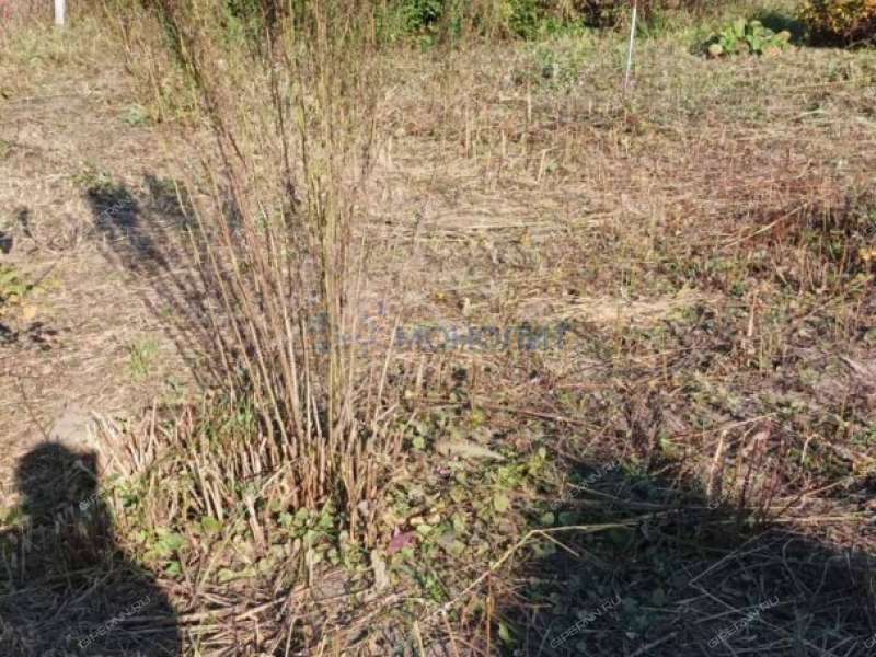 дом на - село Симбилей