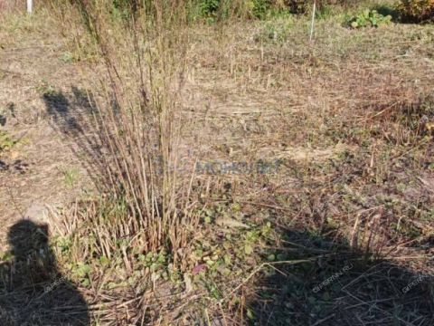 dom-selo-simbiley-dalnekonstantinovskiy-rayon фото