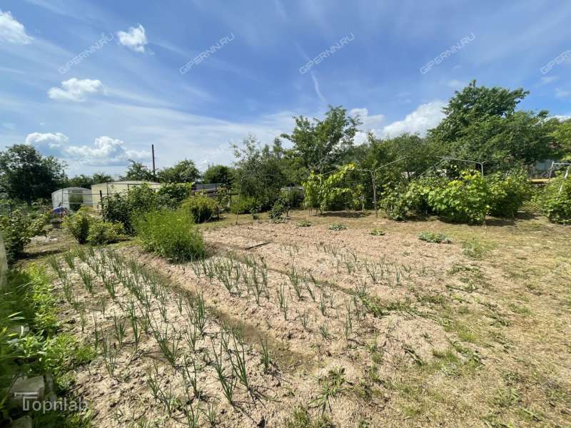 дача на  Дружба-86 снт