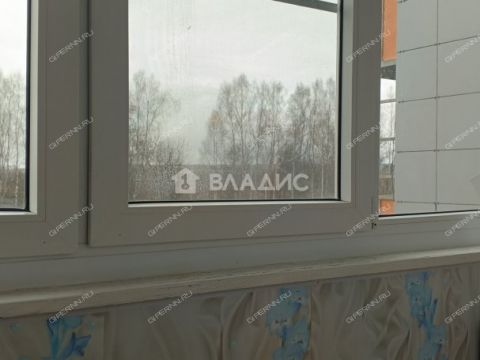 1-komnatnaya-derevnya-berezovka-bogorodskiy-municipalnyy-okrug фото