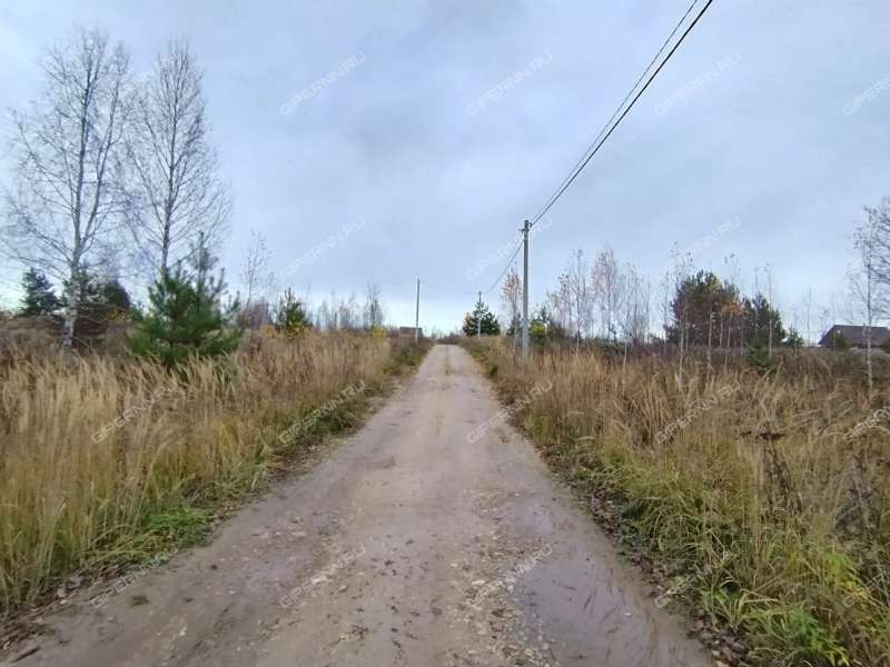 земельный участок 7 соток деревня Кривая Шелокша