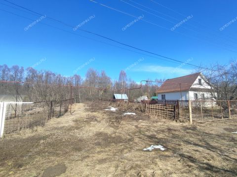 dom-derevnya-shelyauhovo-balahninskiy-municipalnyy-okrug фото