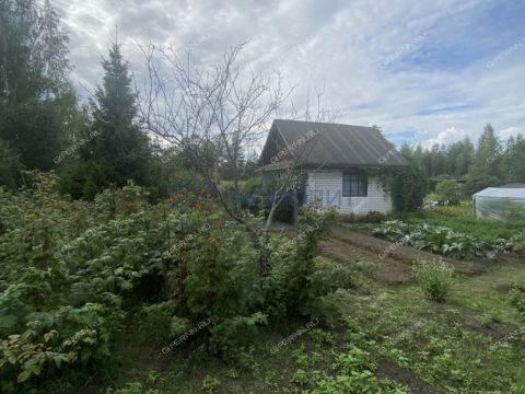 dacha-snt-berezka фото