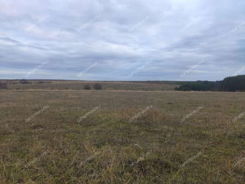 земельный участок 363 сотки Южная улица село Свобода