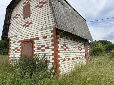 ryabinino-sad-gorodskoy-okrug-chkalovsk фото