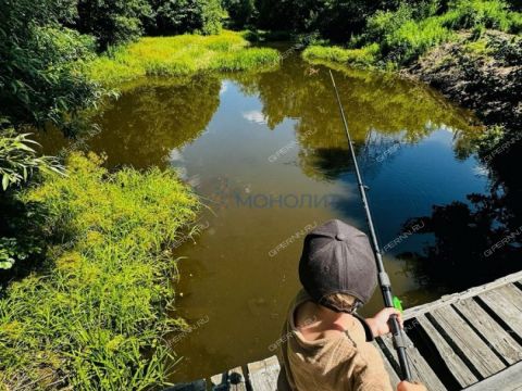 dom-derevnya-pionerskoe-ostankinskiy-selsovet-gorodskoy-okrug-bor фото